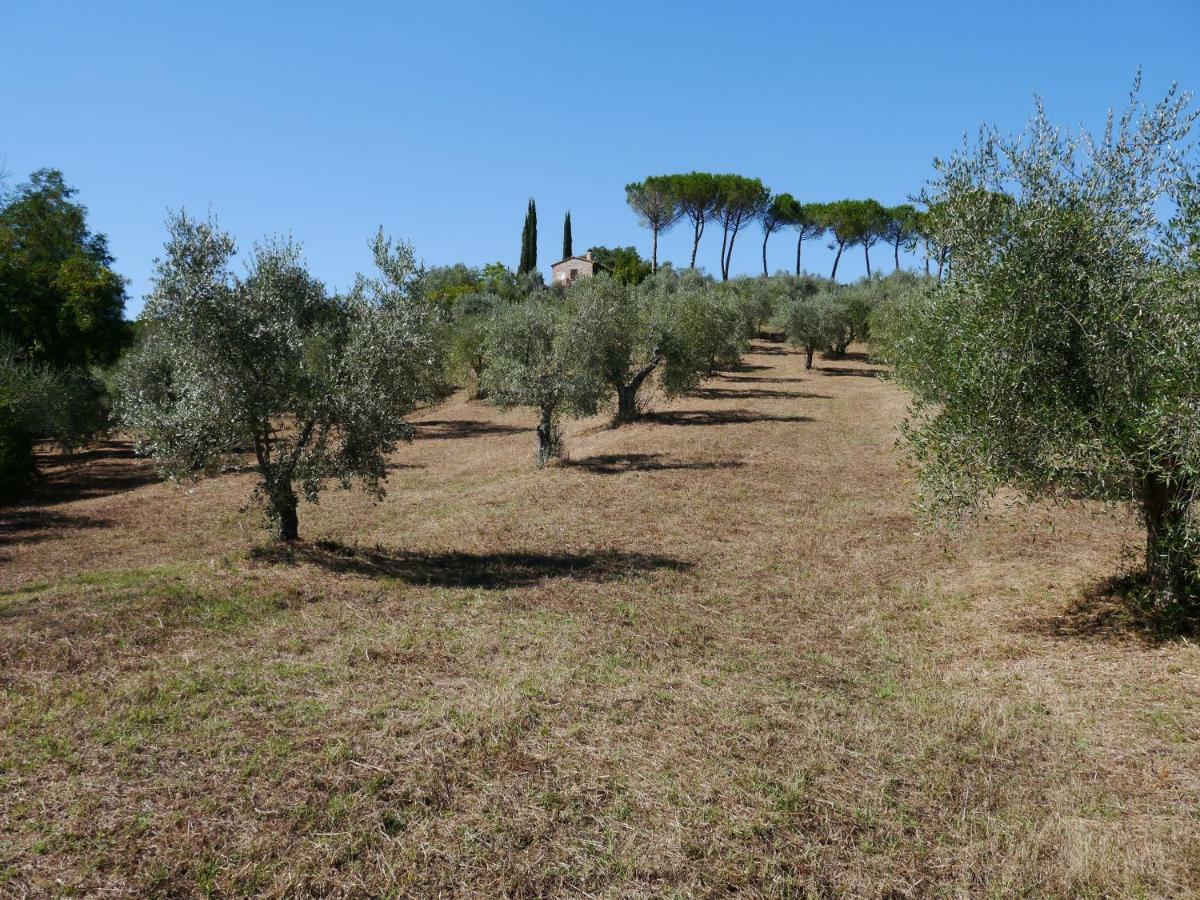 Ferienhaus Il-Pino Villa Roccastrada Kültér fotó
