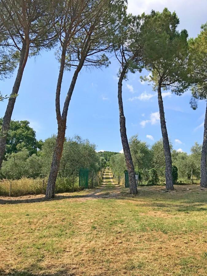 Ferienhaus Il-Pino Villa Roccastrada Kültér fotó